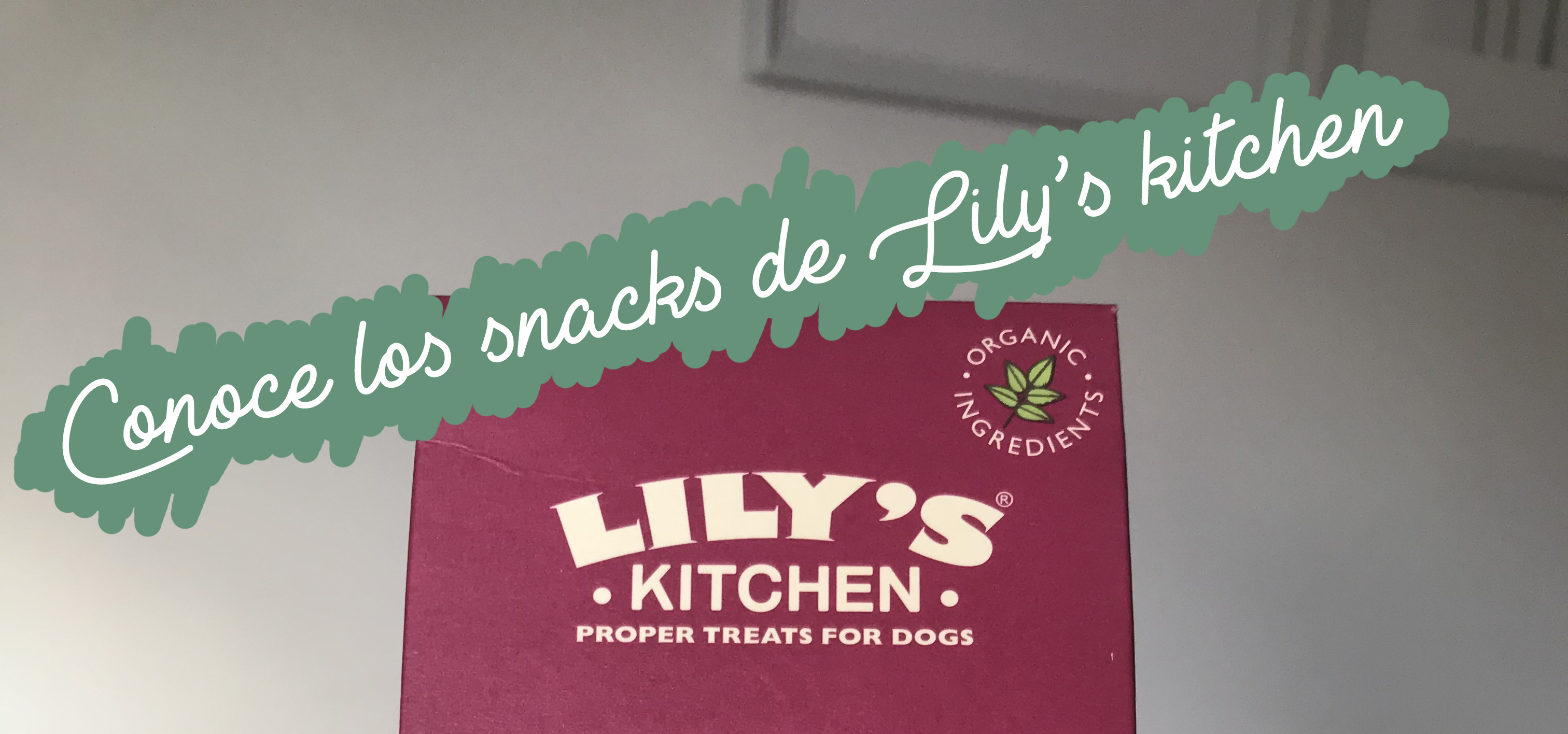 conoce-los-snacks-de-lily'skitchen