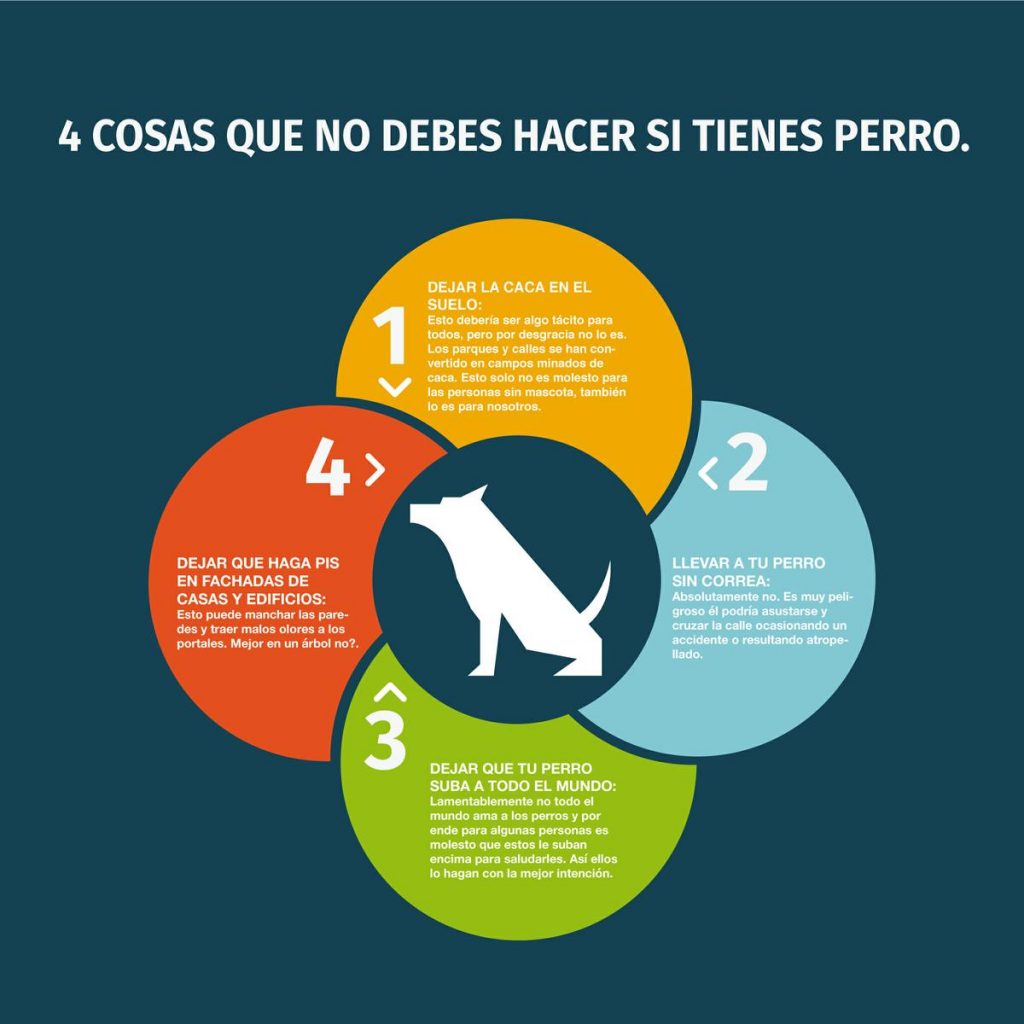 4 cosas NO debes hacer si tienes perro La vida con Pancho Blog perros