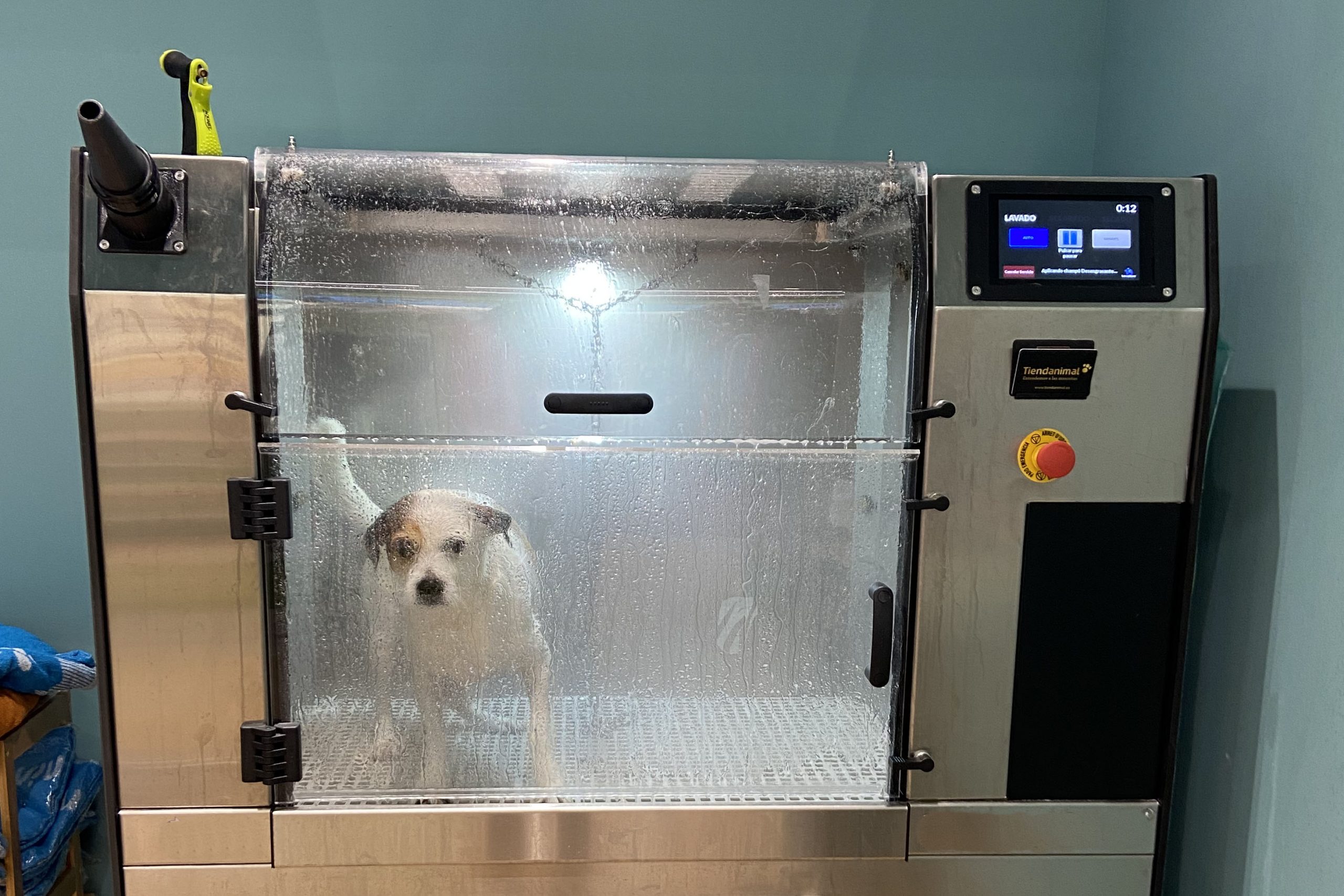 Maquina-de-lavar-perros